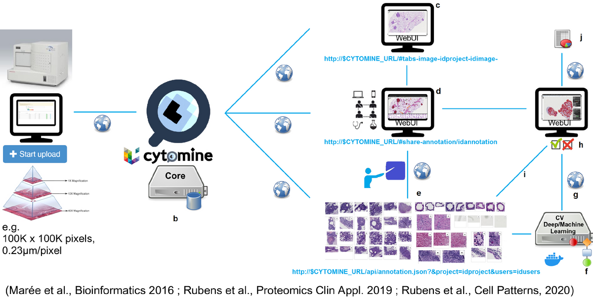 Cytomine ULiège R&D overview